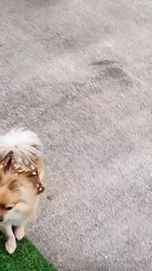 Karma_enchanted1 part 3