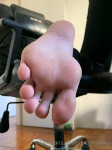 Pallomalovely part 1270