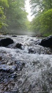 Some selfies from my camping trip part 5