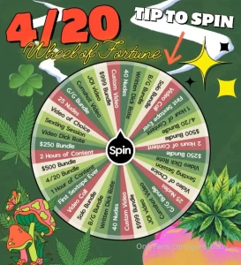 gore-baby - Brand new 4 20 wheel of fortune game exclusive only prizes like video 