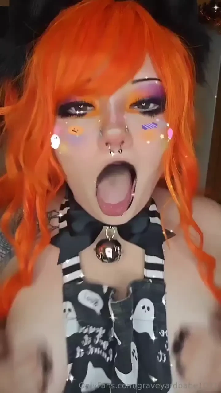 Kitten needs your attention 