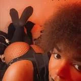 pandy02