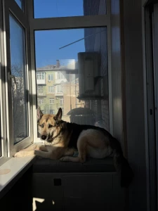 My birthday is coming up on february 11 and i want to make it special part 1