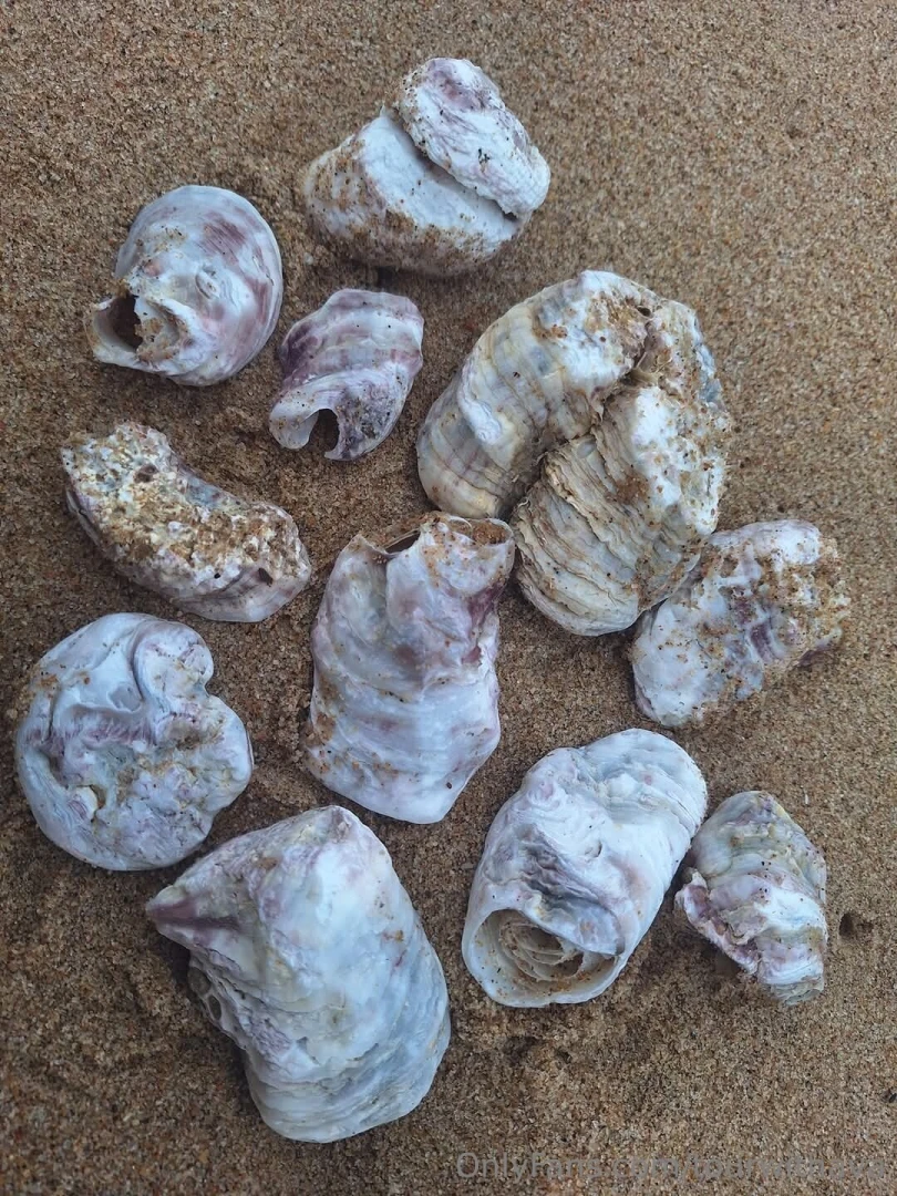 Because south africa part 2 