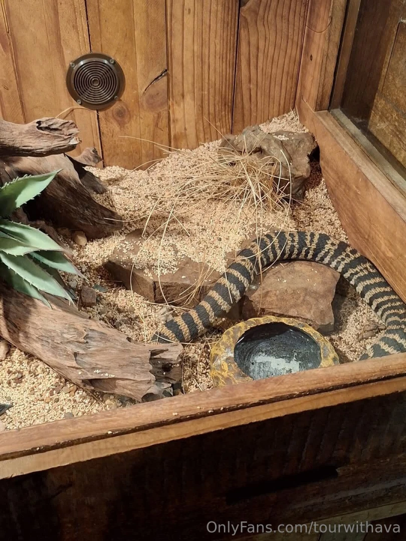 Because south africa part 11 