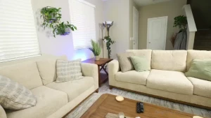 What a nice thing to come home to after a rough day at work