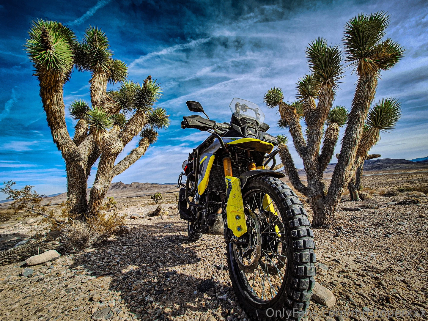 Anyone wanna ride out to the desert with me part 4 