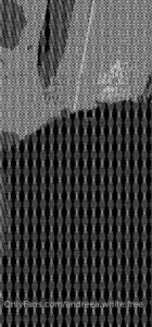 Andreea white 55 reducere vip 2 video la abonare free dickrate