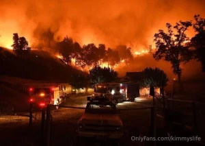 The wildfires in la are heartbreaking to see my heart goes out to part 2