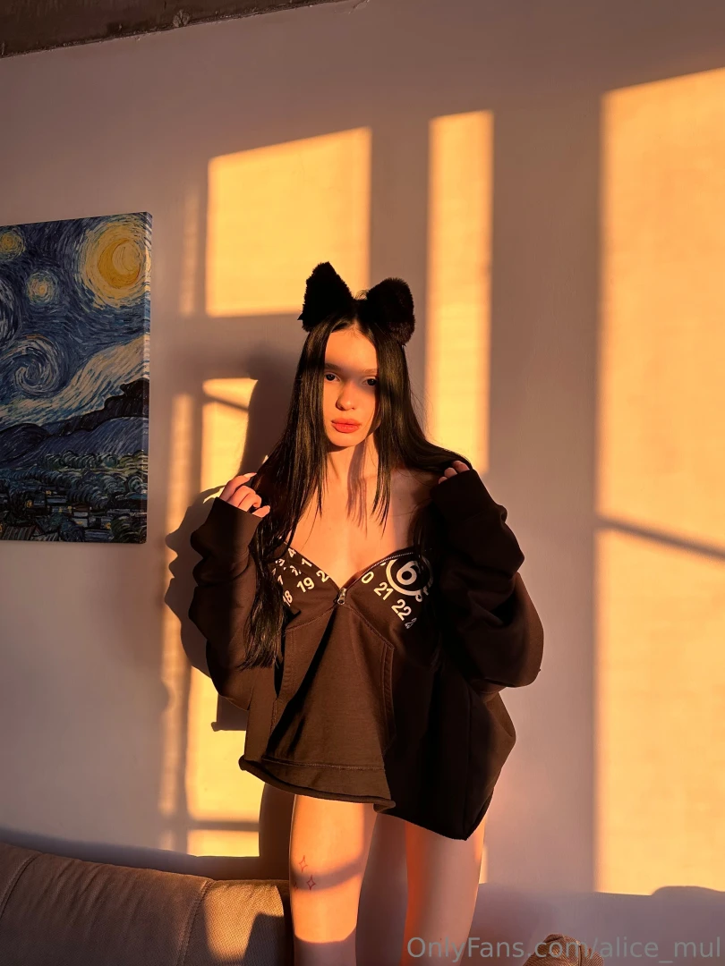 Sunlit moments with a touch of feline charm 