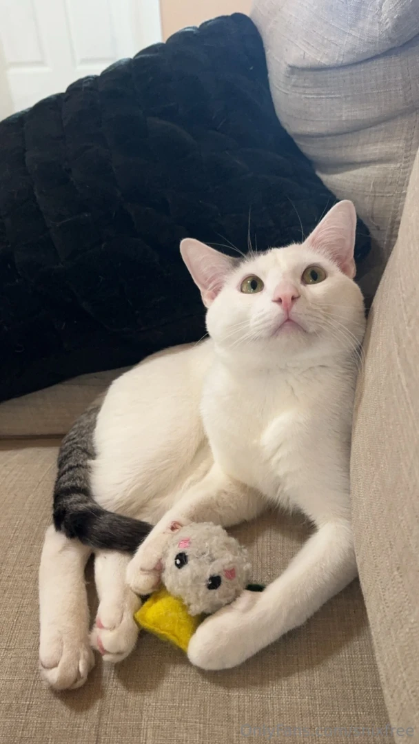 Perfection in a picture part 2 