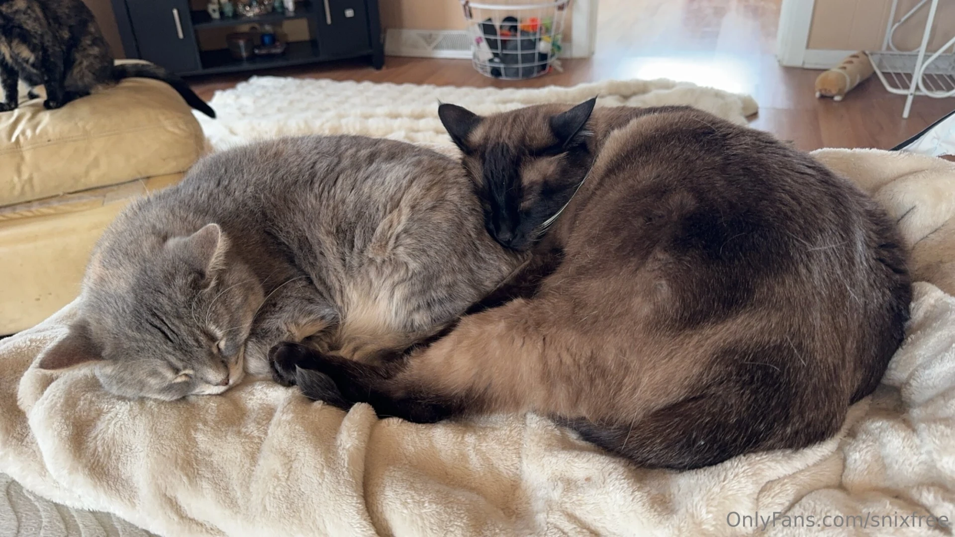 Good night part 3399 