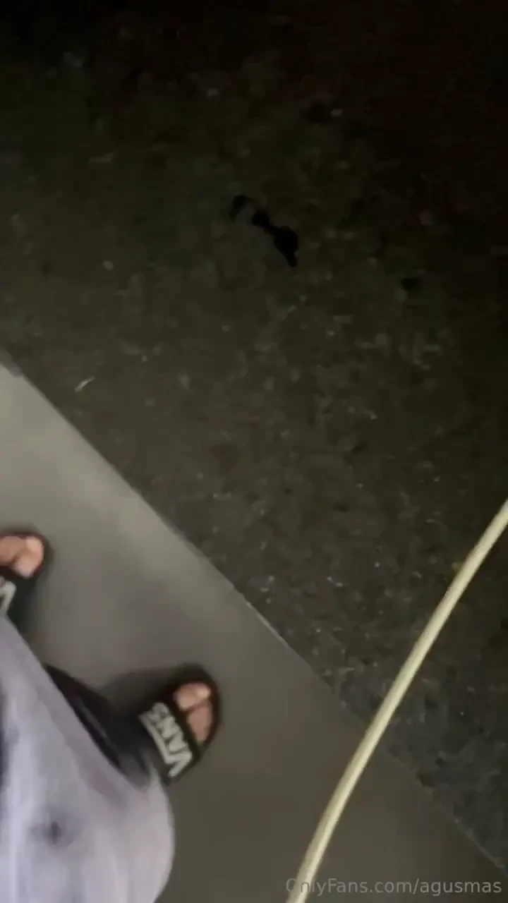 Good morning part 29102 