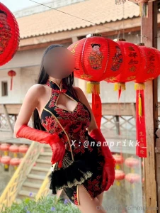Happy lunar new year wish you good health and much success in this part 5