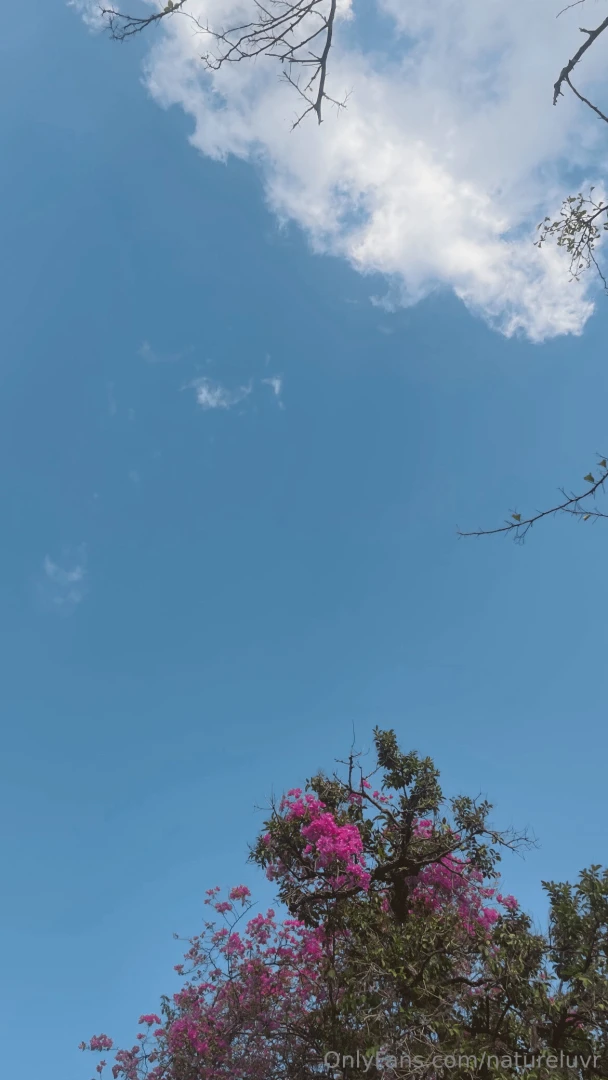 I always find the best cats anywhere i go i loved her she was so 