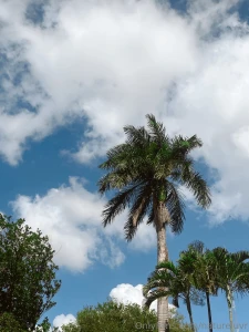 I always find the best cats anywhere i go i loved her she was so part 3