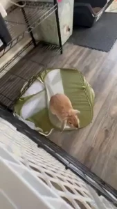 Happy sinful sunday how do you like this sinful sunday pic daily life part 1