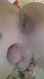 Lick my ass part 30 