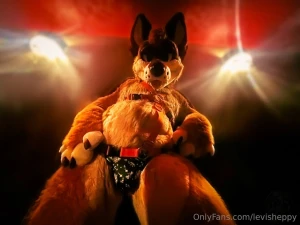 It s the sussy sexy sheppy