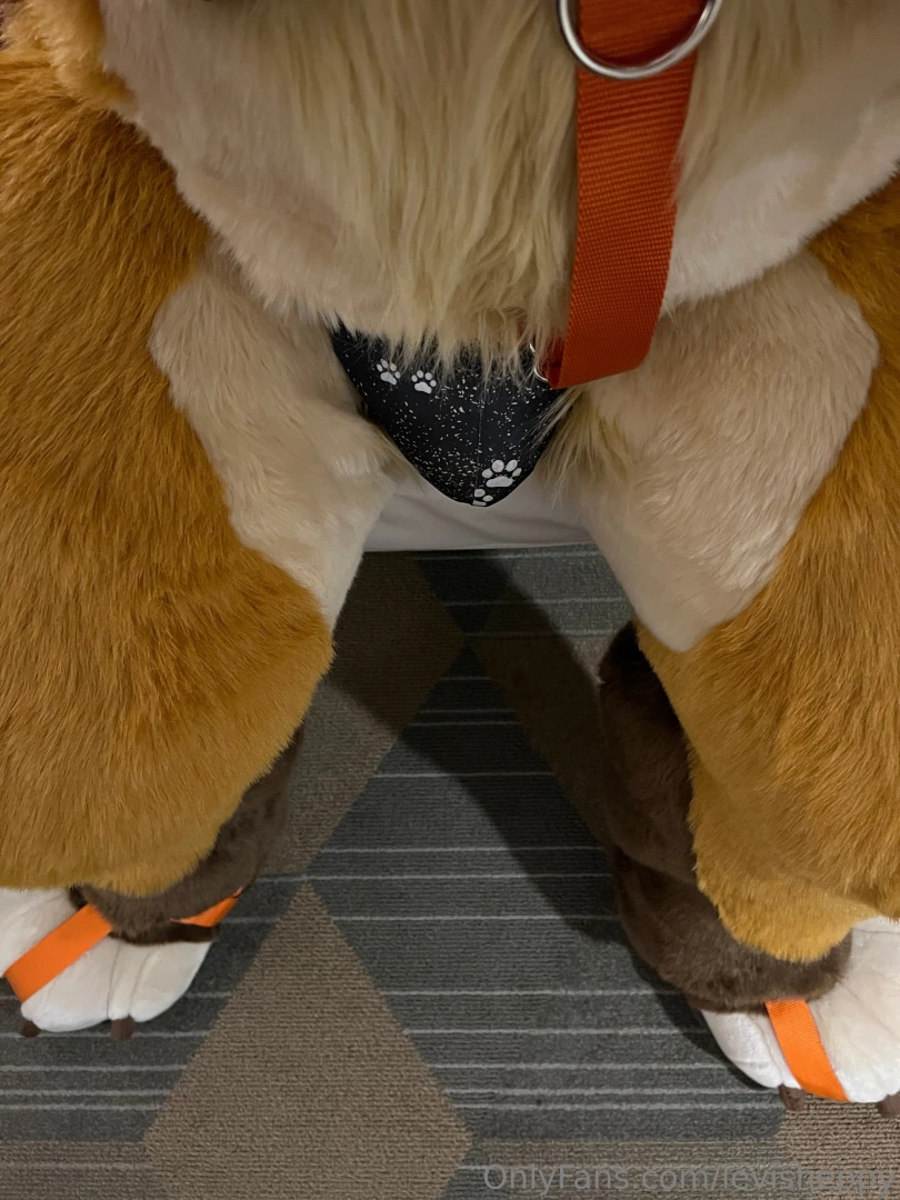 Your current pov sniff or grope 