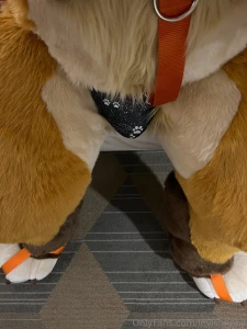 Your current pov sniff or grope