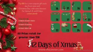 We have had several people participating in our 12 days of christmas