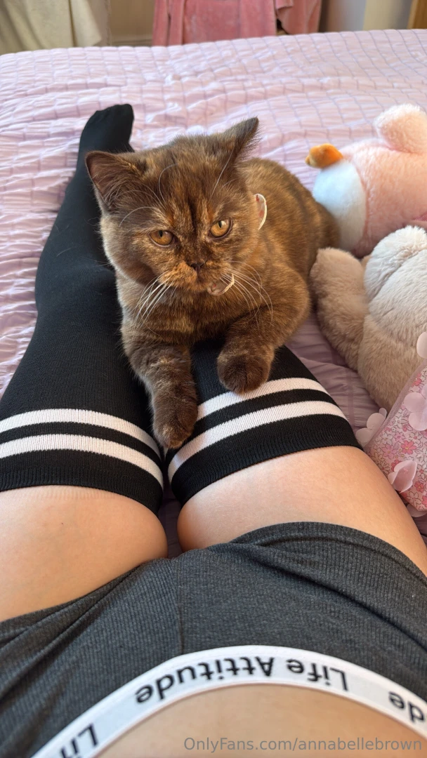 Will flirt for snacks 