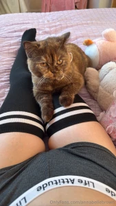 Will flirt for snacks