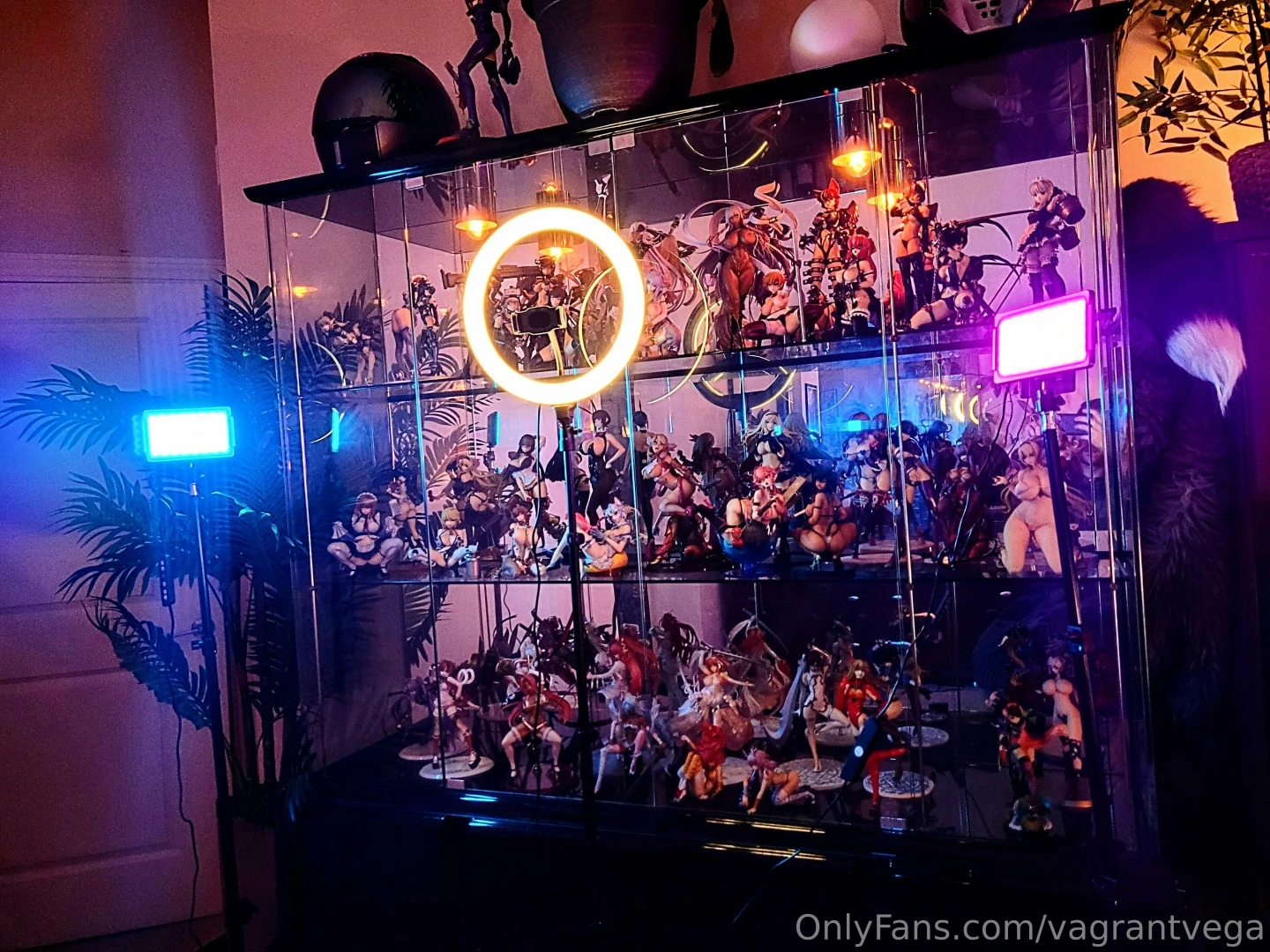 Got some new lighting equipment today 