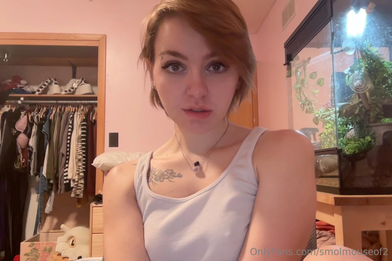 If you like the little bit of content you see here make sure to check 