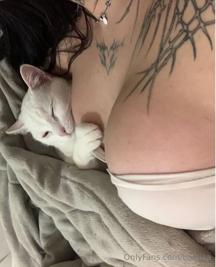 My cat found a cozy spot care to join 