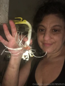 Planting some onions i sprouted