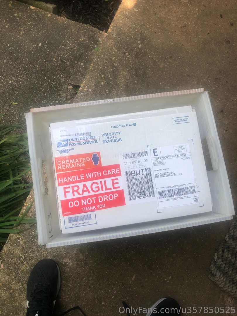 Got my gizmos ashes i really miss him so much 