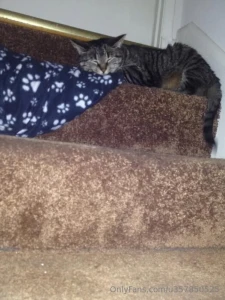 10 years ago today i miss my gizmo so much