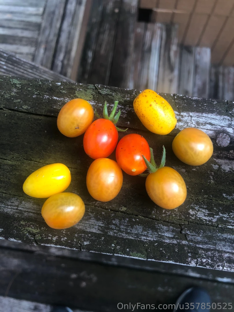 From my garden part 2 