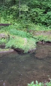 From last summer when i had to hike to go trout fishing