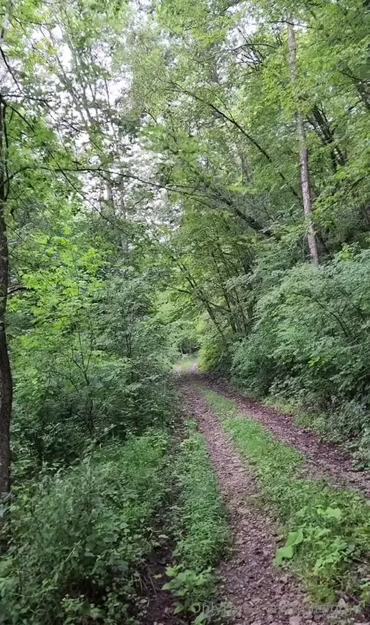 From last summer when i had to hike to go trout fishing part 1 