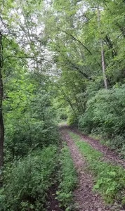 From last summer when i had to hike to go trout fishing part 1