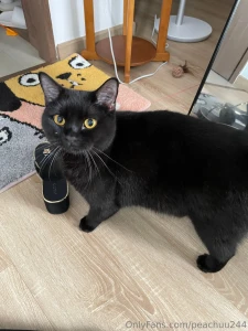 You ready for mommy new era