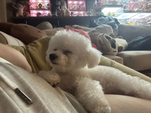 Today i want to introduce you to rubi her name is rubi a 6-month-old part 4