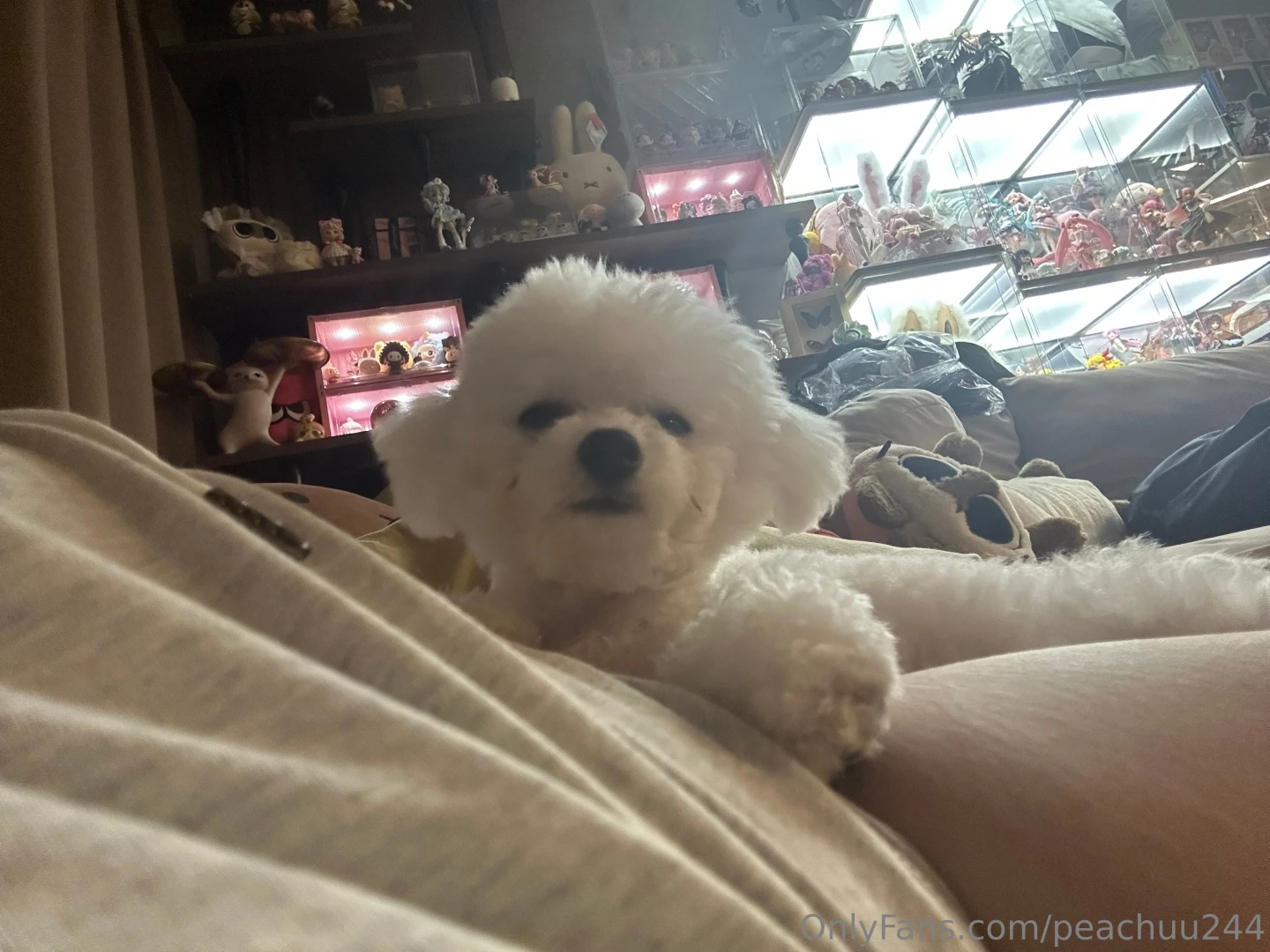 Today i want to introduce you to rubi her name is rubi a 6-month-old part 2 