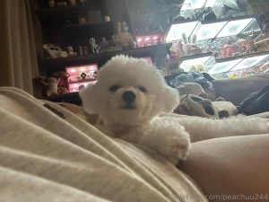 Today i want to introduce you to rubi her name is rubi a 6-month-old part 2