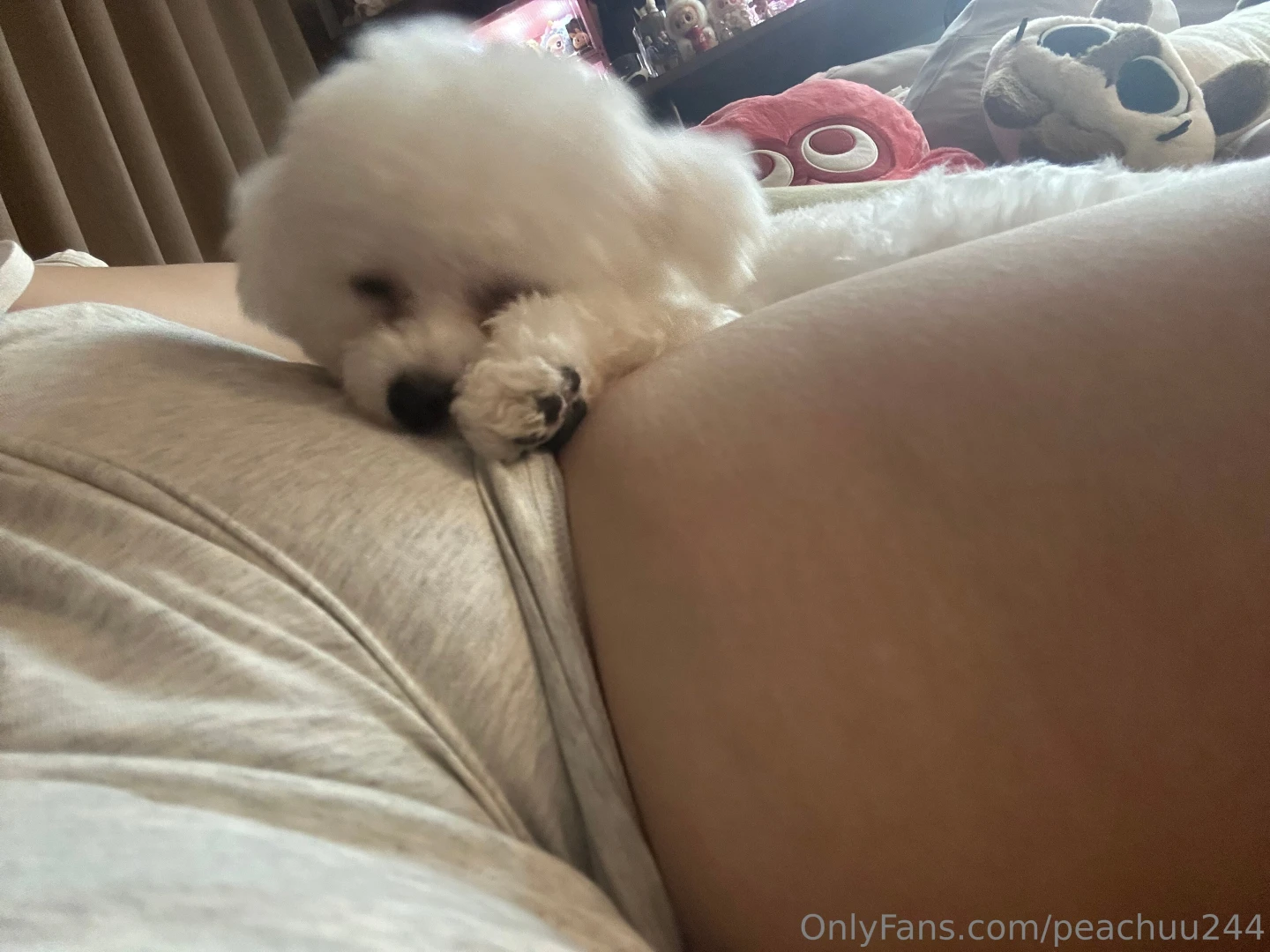 Today i want to introduce you to rubi her name is rubi a 6-month-old part 3 