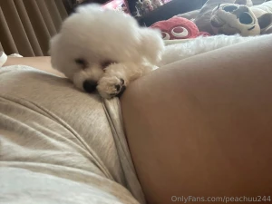 Today i want to introduce you to rubi her name is rubi a 6-month-old part 3