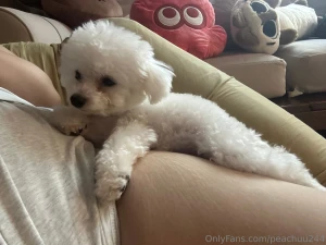 Today i want to introduce you to rubi her name is rubi a 6-month-old part 1