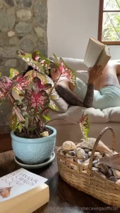 How about we try the same moves but without my book