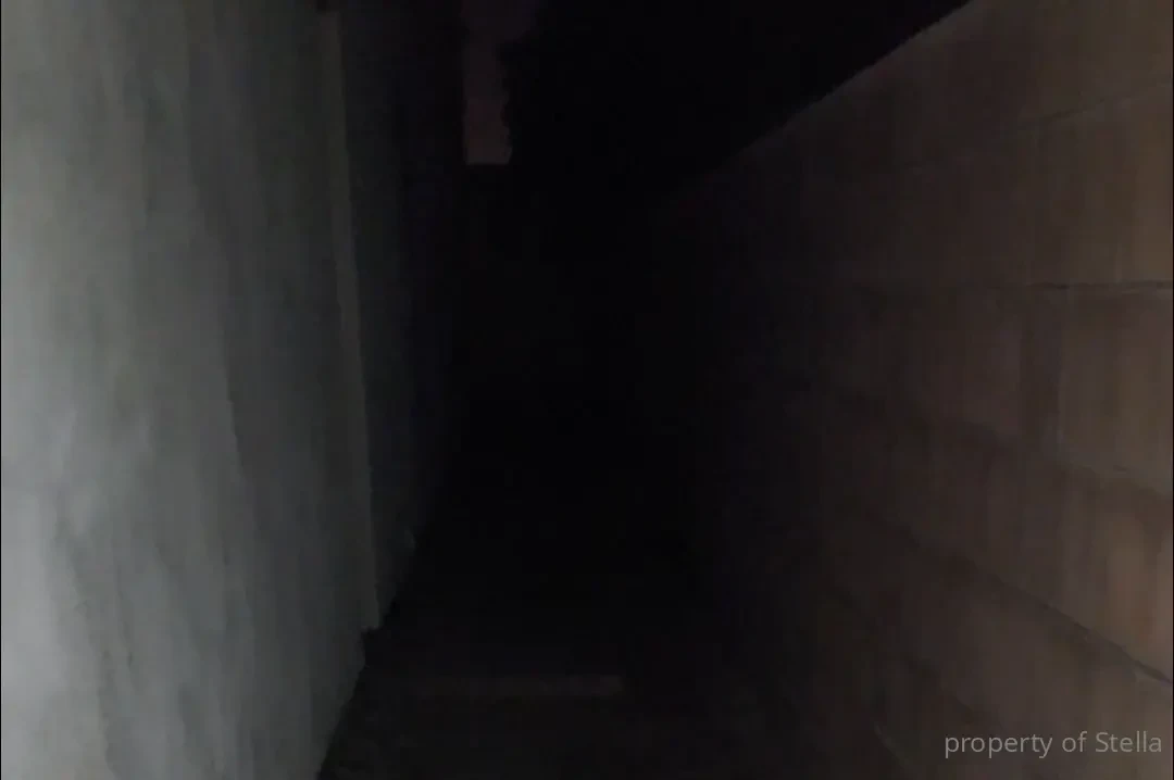 I see her eyes light relect from my flash so she runs around 