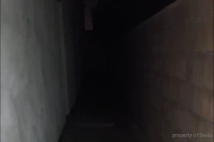 I see her eyes light relect from my flash so she runs around