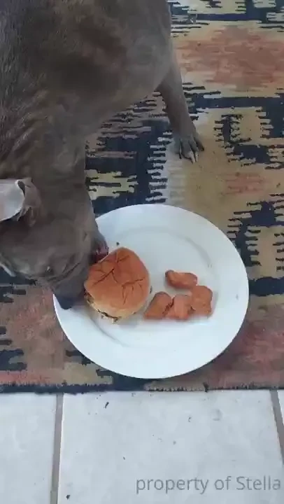 I think i can i think i can i think i can 
