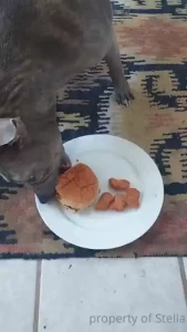 I think i can i think i can i think i can
